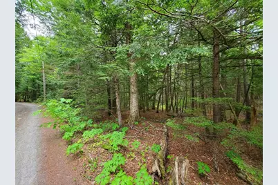 Lot 7 Heath Road, Mariaville, ME 04605 - Photo 6