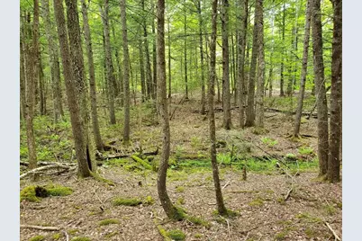 Lot 7 Heath Road, Mariaville, ME 04605 - Photo 18
