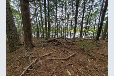 Lot 7 Heath Road, Mariaville, ME 04605 - Photo 12