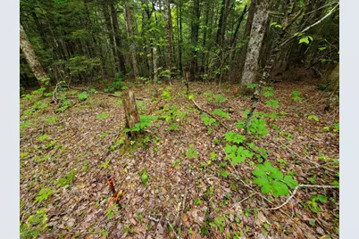 Lot 7 Heath Road, Mariaville, ME 04605 - Photo 24