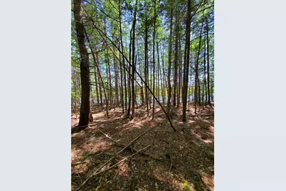 Lot 7 Heath Road, Mariaville, ME 04605 - Photo 30