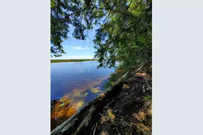 Lot 7 Heath Road, Mariaville, ME 04605 - Photo 2