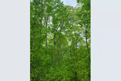 233 Weld Road, Phillips, ME 04966 - Photo 32