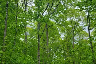 233 Weld Rd, Phillips, ME 04966 - Photo 32