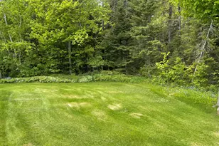 53 Bog Rd, Limestone, ME 04750 - Photo 12