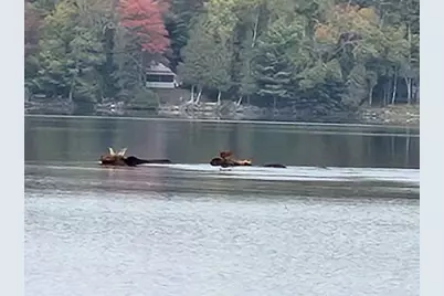 133 Camp Road, Sangerville, ME 04443 - Photo 2