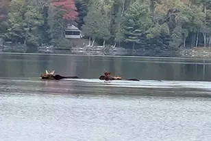 133 Camp Rd, Sangerville, ME 04443 - Photo 2