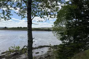 411 Cutler Rd, Machiasport, ME 04655 - Photo 68
