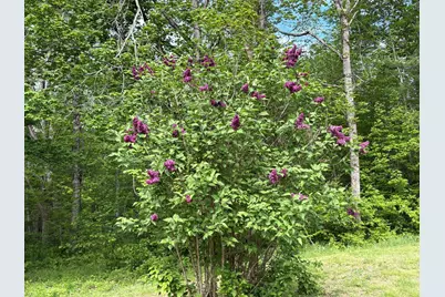 417 Searsmont Road, Lincolnville, ME 04849 - Photo 36