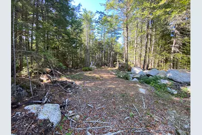 M06-Lot18B Sys Road, Lakeville, ME 04487 - Photo 4