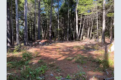 M06-Lot18A Sys Road, Lakeville, ME 04487 - Photo 6