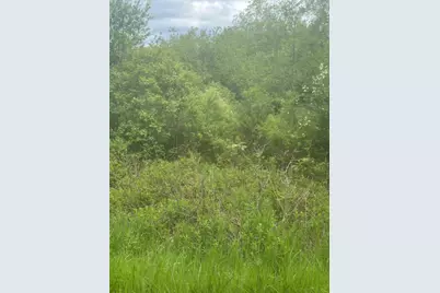 Lot 7 Unionville Road, Steuben, ME 04680 - Photo 4