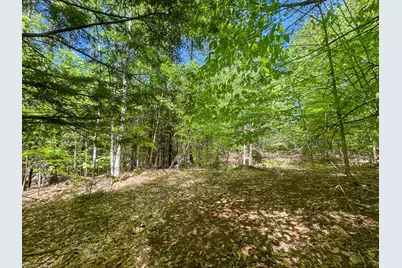 M21 L4-1 Waterford Road, Bridgton, ME 04009 - Photo 12