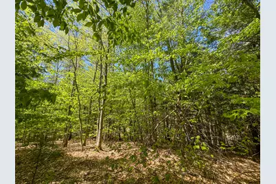 M21 L4-1 Waterford Road, Bridgton, ME 04009 - Photo 10