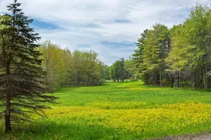 213 Fiddlers Reach Rd, Phippsburg, ME 04562 - Photo 22