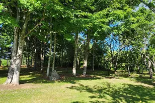 260 Thistle St, Upton, ME 04261 - Photo 82