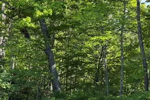 M10 L28-C Weeks Mills Rd, Windsor, ME 04363 - Photo 1