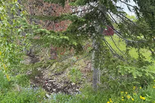 63 Lakeshore Dr, Presque Isle, ME 04769 - Photo 24