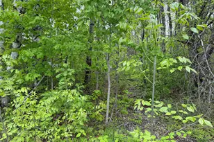 63 Lakeshore Dr, Presque Isle, ME 04769 - Photo 14