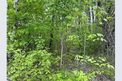 63 Lakeshore Drive, Presque Isle, ME 04769 - Photo 12