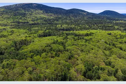 108 Stanley Mountain Road, Mount Desert, ME 04660 - Photo 12