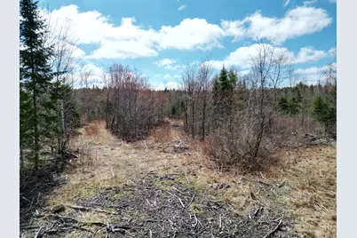 Lot 46I-1 Merriman Road, Island Falls, ME 04747 - Photo 4