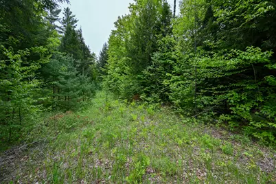 Lot 16D Old Towle Road, Dixfield, ME 04224 - Photo 14