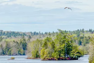 140 Pleasant St, Freedom, ME 04941 - Photo 64