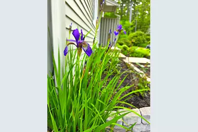 18 High Bluff Drive #18, Kennebunk, ME 04043 - Photo 30