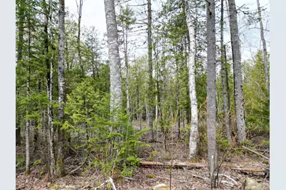 8 Twin Springs Lane, Lincoln, ME 04457 - Photo 4