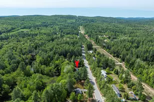 312 Plains Rd, Harrison, ME 04040 - Photo 70