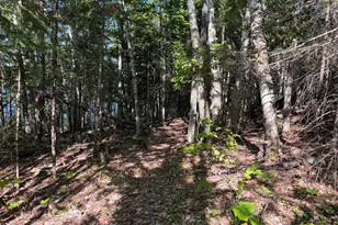 1 13 N N Street Water Access Only, Attean Twp, ME 04945 - Photo 18
