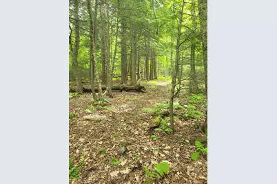 159 Pikes Hill Road, Norway, ME 04268 - Photo 20