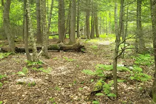 159 Pikes Hill Rd, Norway, ME 04268 - Photo 20