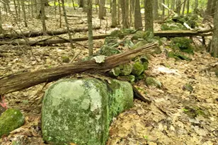 159 Pikes Hill Rd, Norway, ME 04268 - Photo 16