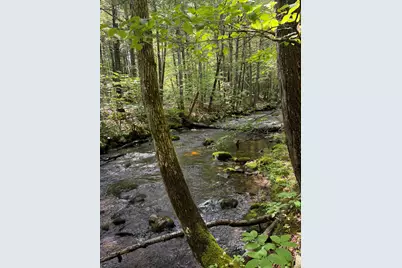 Lot 44 Rolfe Road, Harrison, ME 04040 - Photo 16