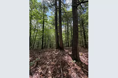 Lot 44 Rolfe Road, Harrison, ME 04040 - Photo 10