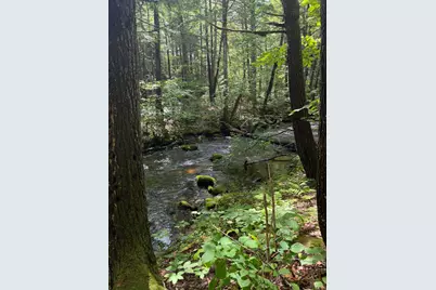 Lot 44 Rolfe Road, Harrison, ME 04040 - Photo 14