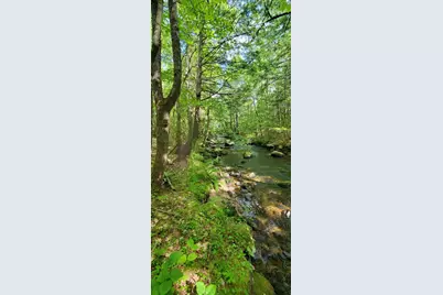 Lot 44 Rolfe Road, Harrison, ME 04040 - Photo 2