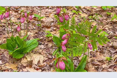 54 Prentiss Fogg Road, Otisfield, ME 04270 - Photo 32
