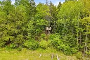 1318 Bald Mountain Rd, Orland, ME 04472 - Photo 40
