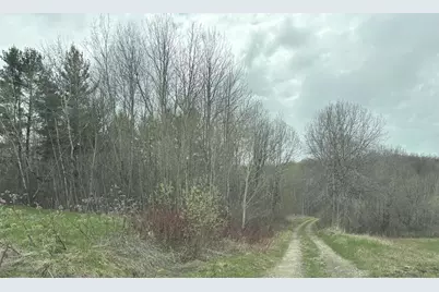 Lot 12 Off Conant (End Of Johnson Rd) Road, Fort Fairfield, ME 04742 - Photo 6