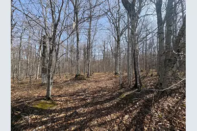 Lot 12 Off Conant (End Of Johnson Rd) Road, Fort Fairfield, ME 04742 - Photo 4