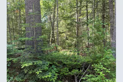 Lot R05129 Polly Clark Brook, Wiscasset, ME 04578 - Photo 8