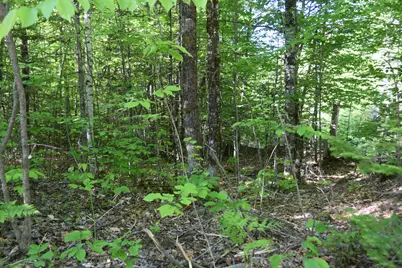 M10 L6-1 Hancock Pond Road, Embden, ME 04958 - Photo 10