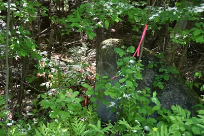 M10 L6-1 Hancock Pond Road, Embden, ME 04958 - Photo 6
