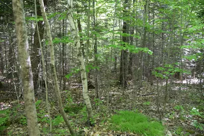 M10 L6-1 Hancock Pond Road, Embden, ME 04958 - Photo 8