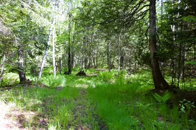 M10 L30 9 & 9A Birch Lane, Canaan, ME 04924 - Photo 8