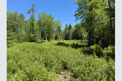 Map 20 Lot 14-10 Iron Tree Street, South Thomaston, ME 04858 - Photo 2