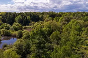 Map 20 Lot 14-10 Iron Tree St, South Thomaston, ME 04858 - Photo 1